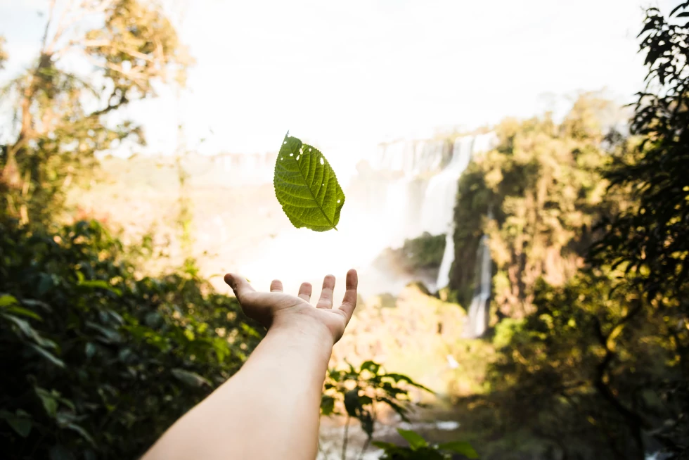 Por que a coleta de lixo eletrônico é importante para o meio ambiente e para a sociedade