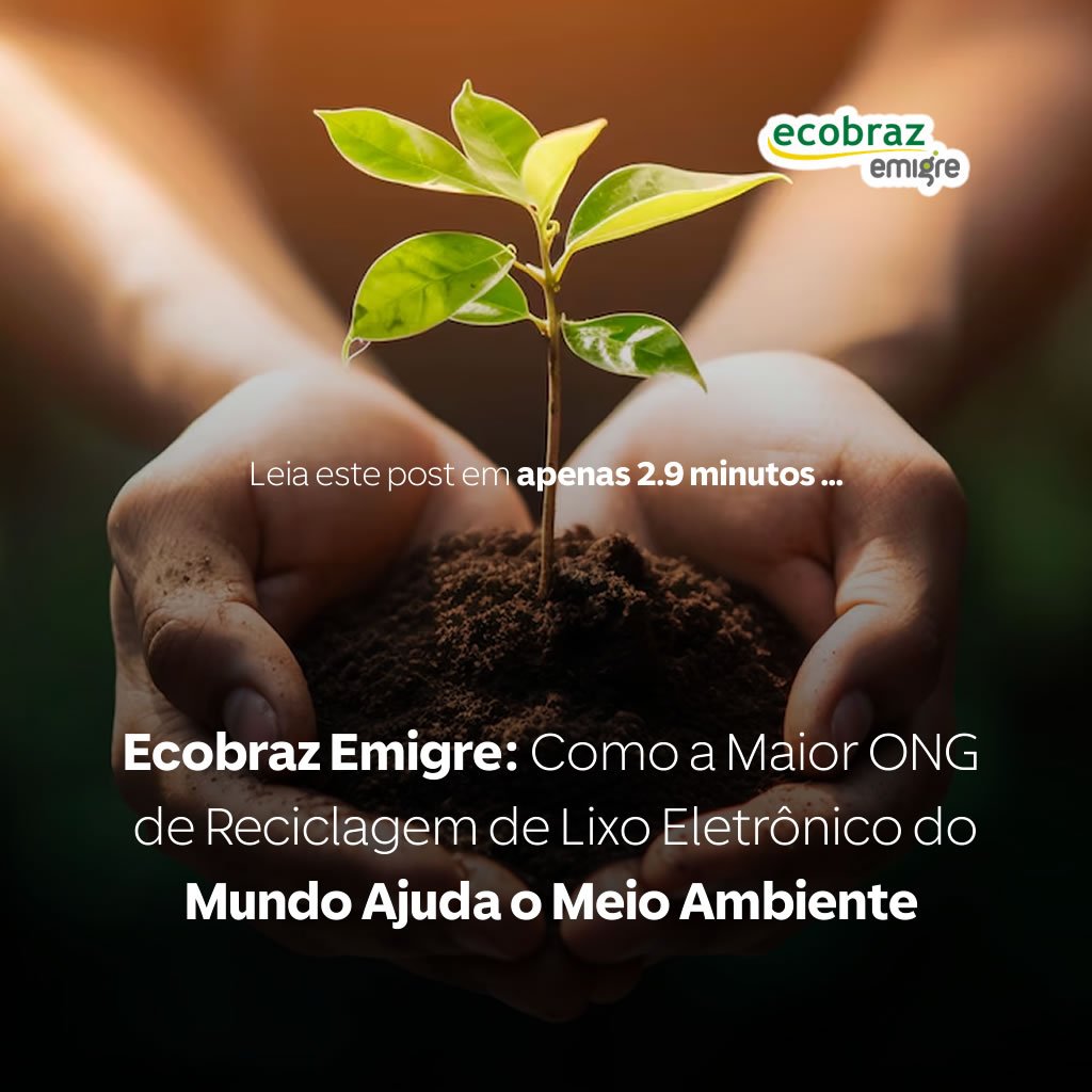 Ecobraz Emigre: Como a Maior ONG de Reciclagem de Lixo Eletrônico do Mundo Ajuda o Meio Ambiente